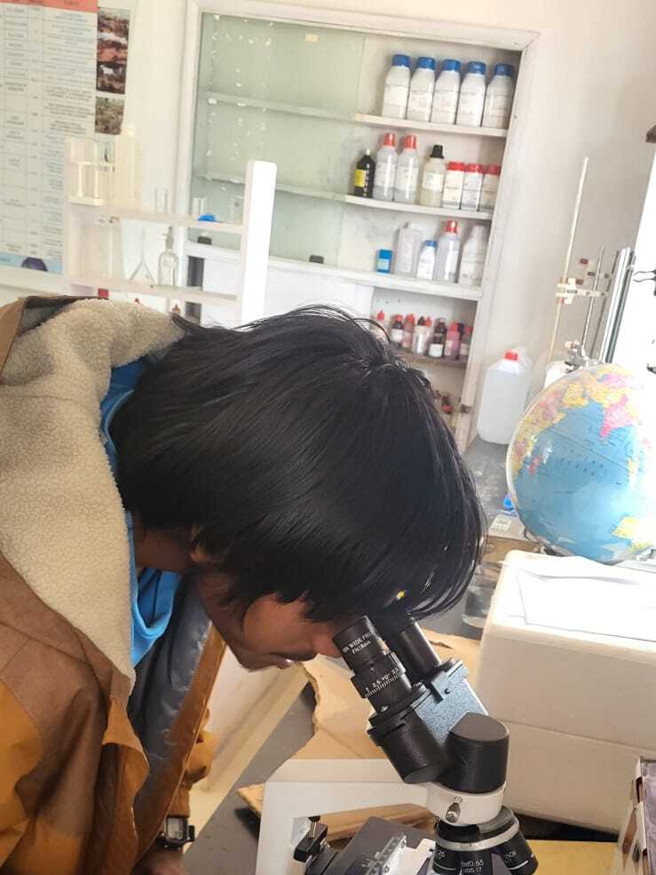 Wings, Legs and Lenses: Grade 10's Pooter Insect Investigation at bms