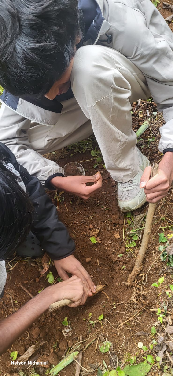 Digging for Discoveries: Grade 10 Sets Up a Pooter in the Garden Patch at bms