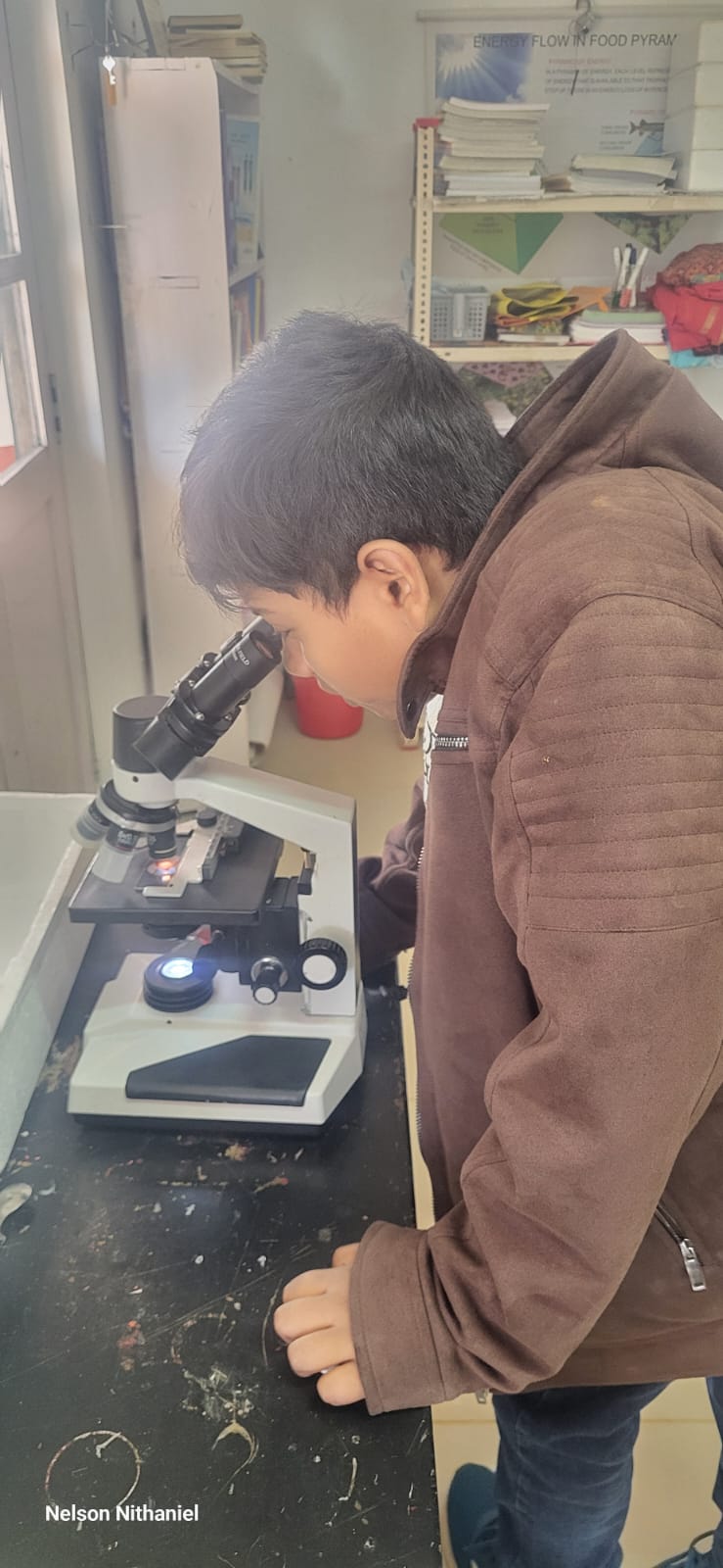 A Grade 6 student looking through the microscope eyepiece