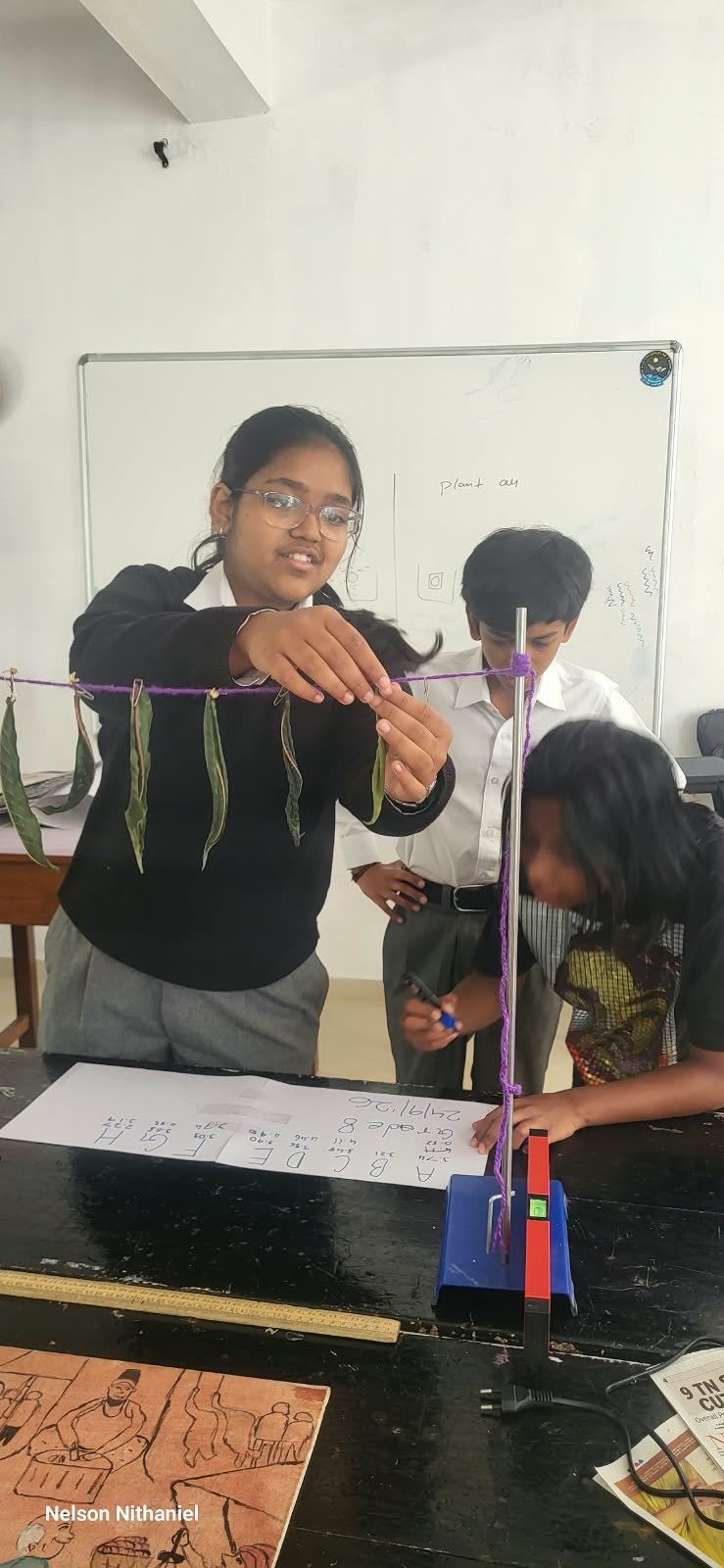 Grade 8 students measuring leaves during the transpiration experiment