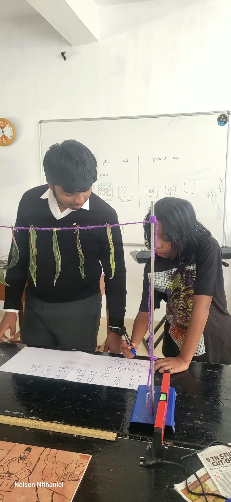 Grade 8 students measuring leaves during the transpiration experiment