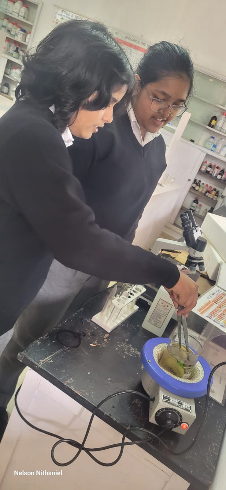 Chasing the Blue-Black Clue: Grade 8 Tests Leaves for Starch at bms