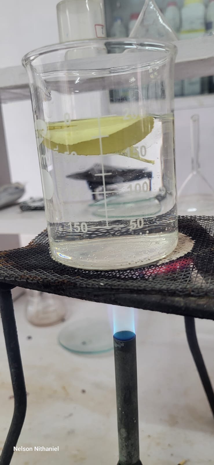 Grade 8 students decolourising the boiled leaf in ethanol over a hot water bath
