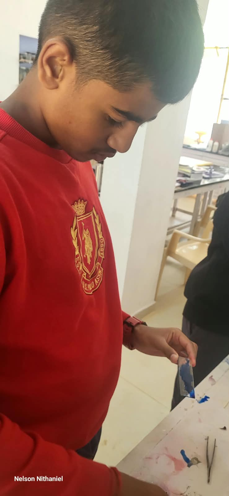 Two students preparing their wet mount slide together