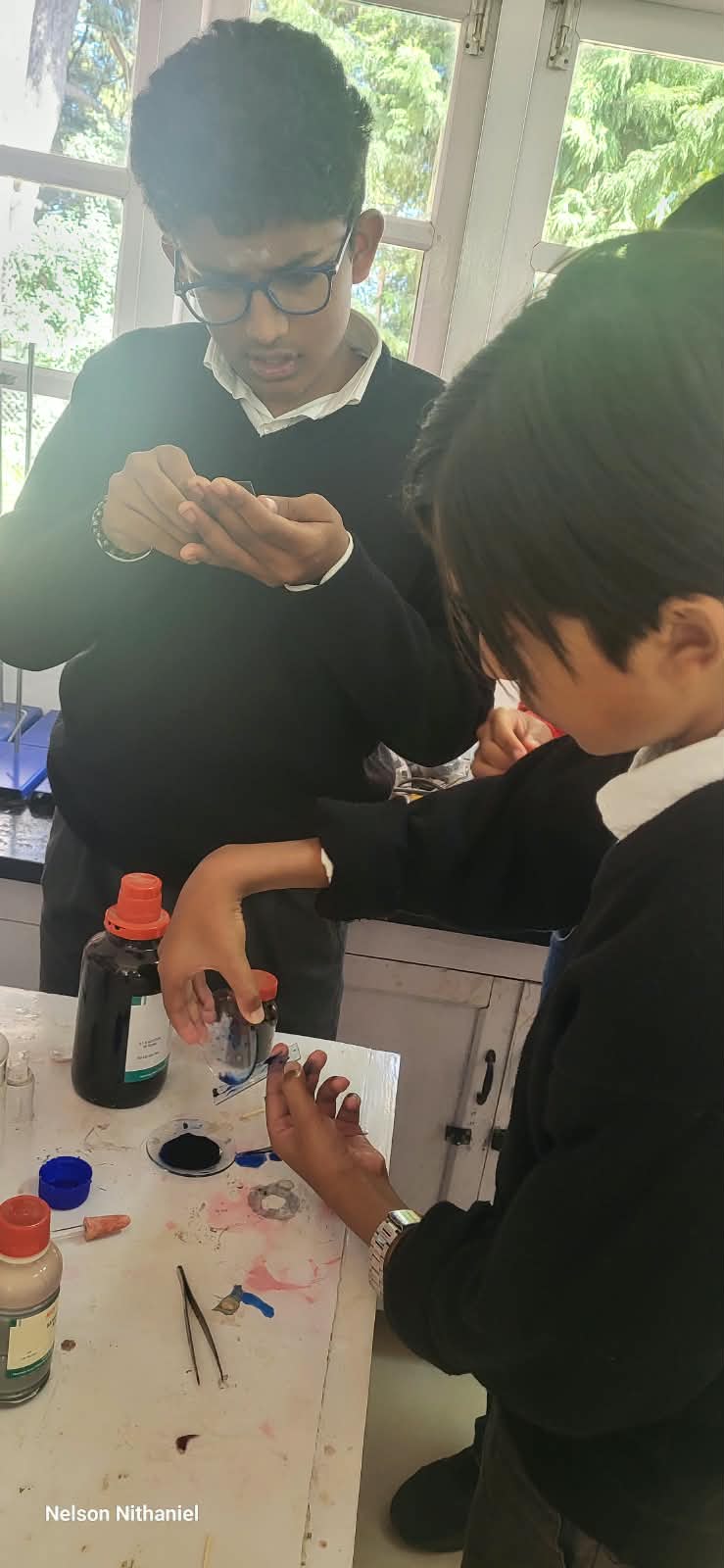 A student adding methylene blue stain with a dropper