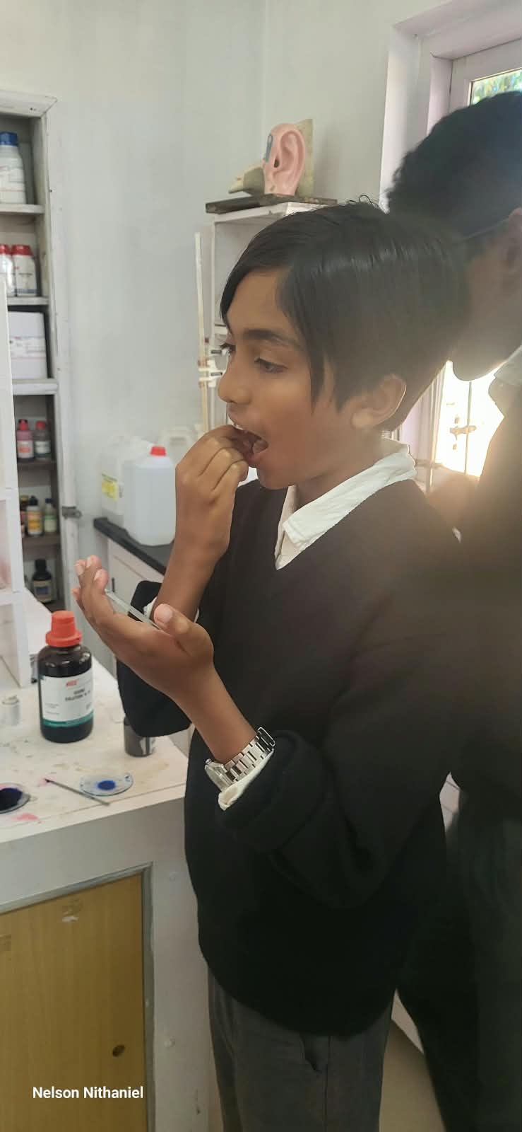 A student examining their prepared slide