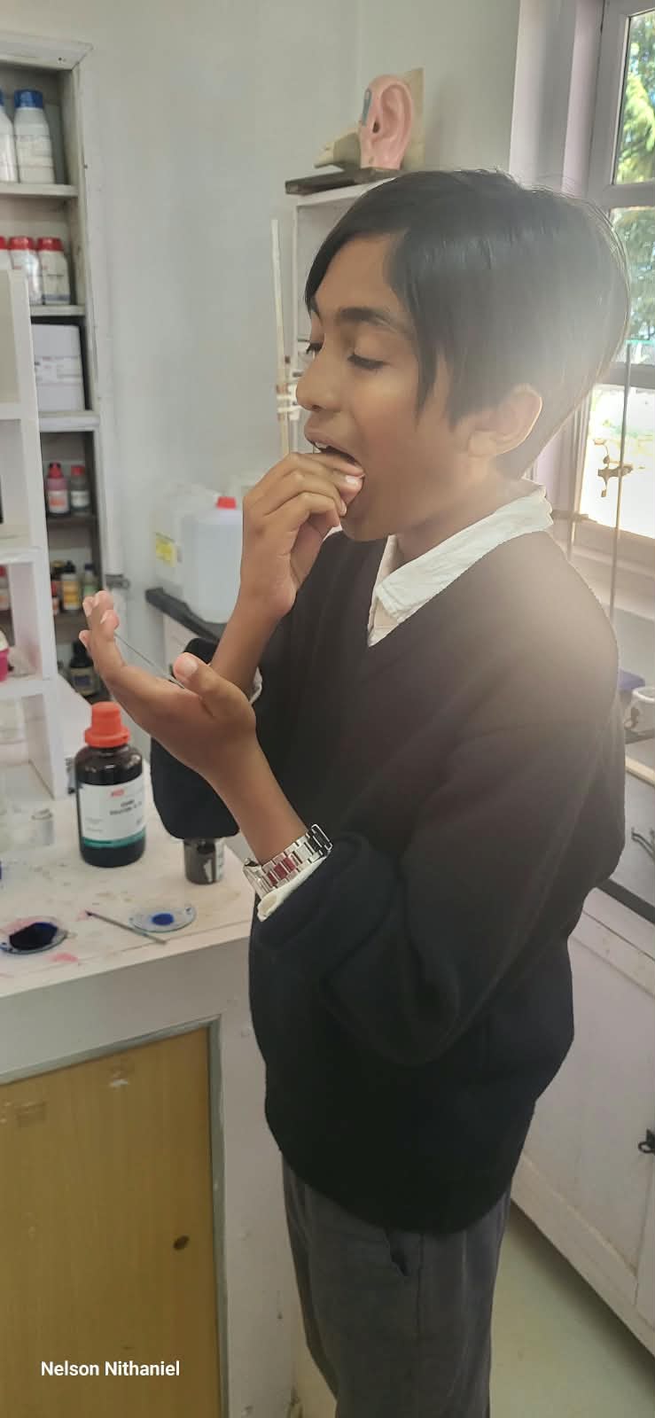 A student collecting their cheek cell sample