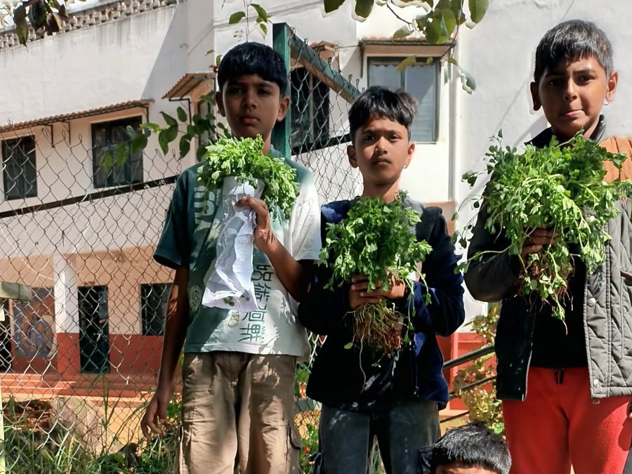 Students holding freshly harvested bunches of methi at bms
