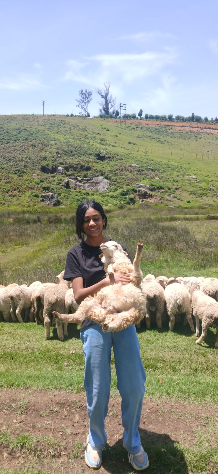A student holding a lamb with the flock grazing behind her