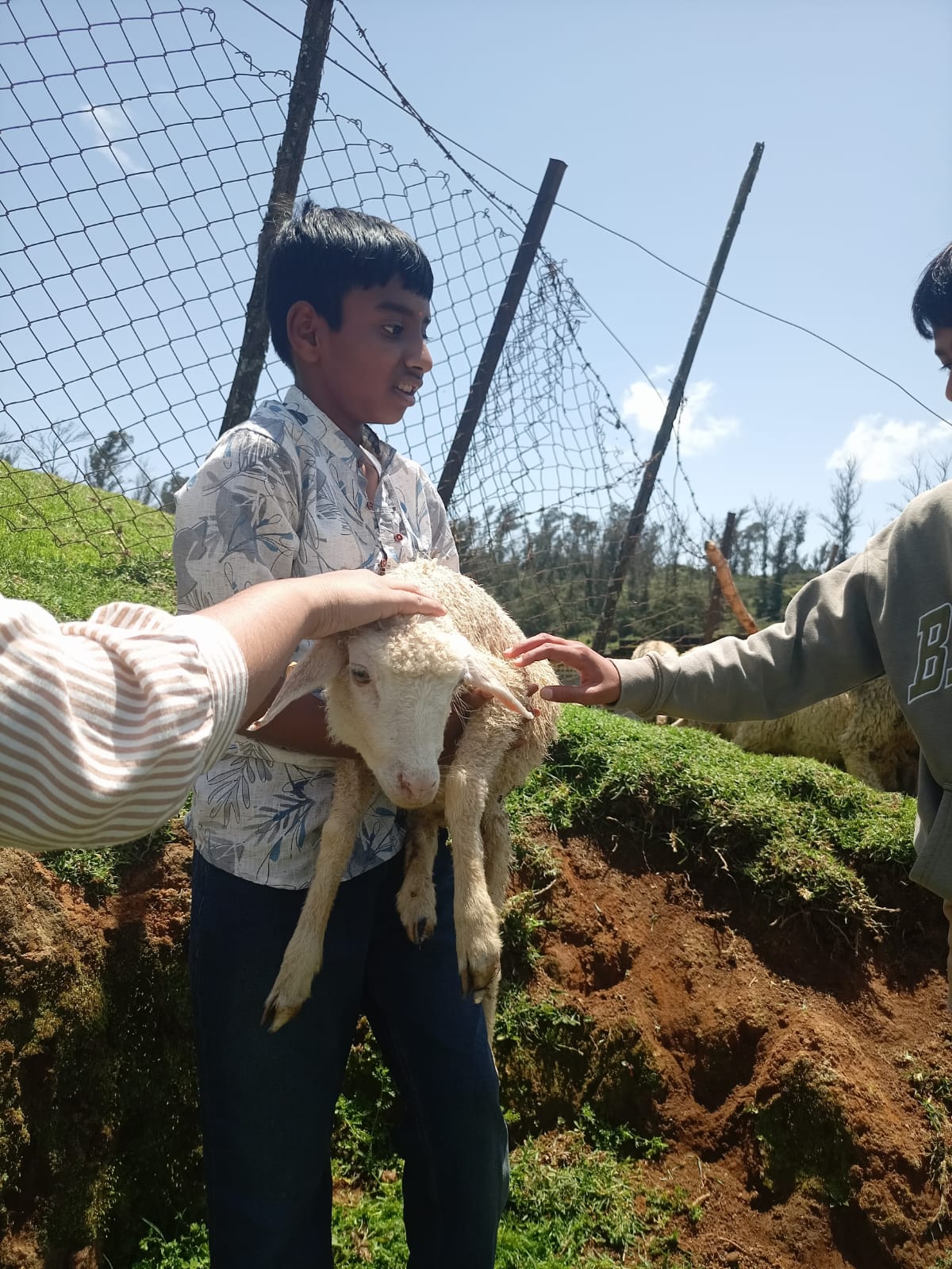 A student holding a lamb by the fence