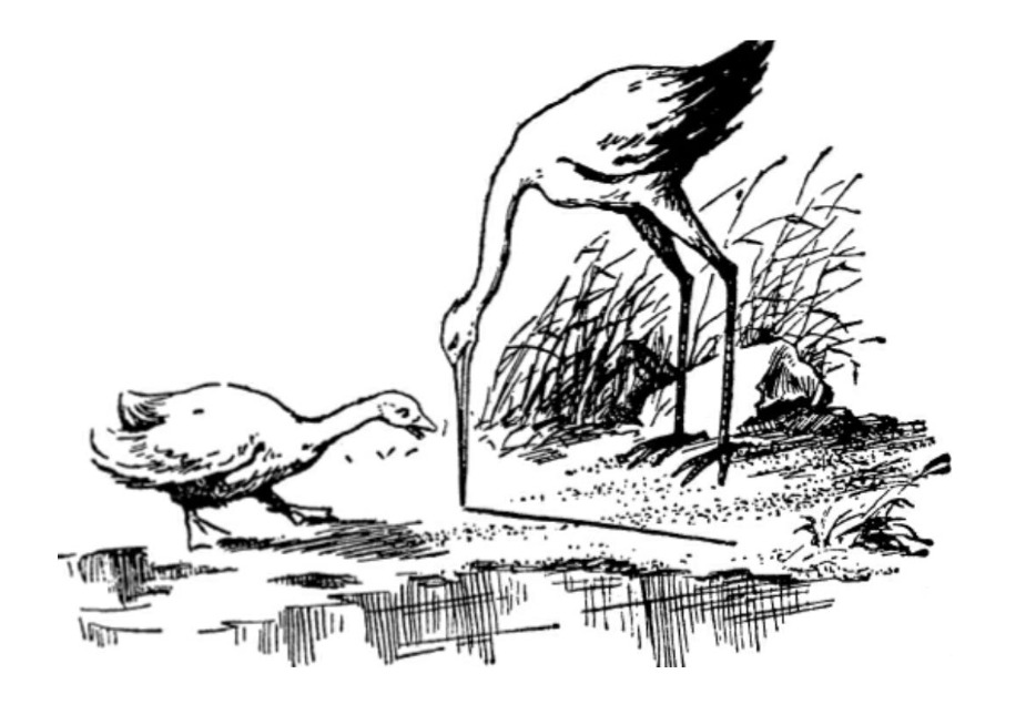 Illustration of a goose telling its story to a stork standing by a pond