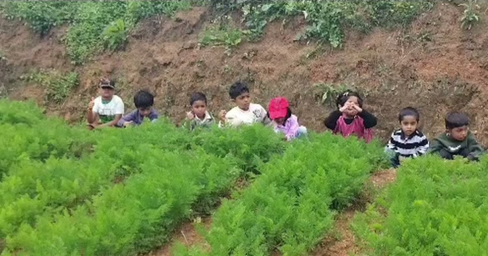 First Step and Grade 1 students visiting a farm