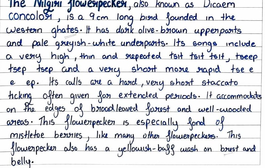 Handwritten field note by Grade 7 — The Nilgiri Flowerpecker