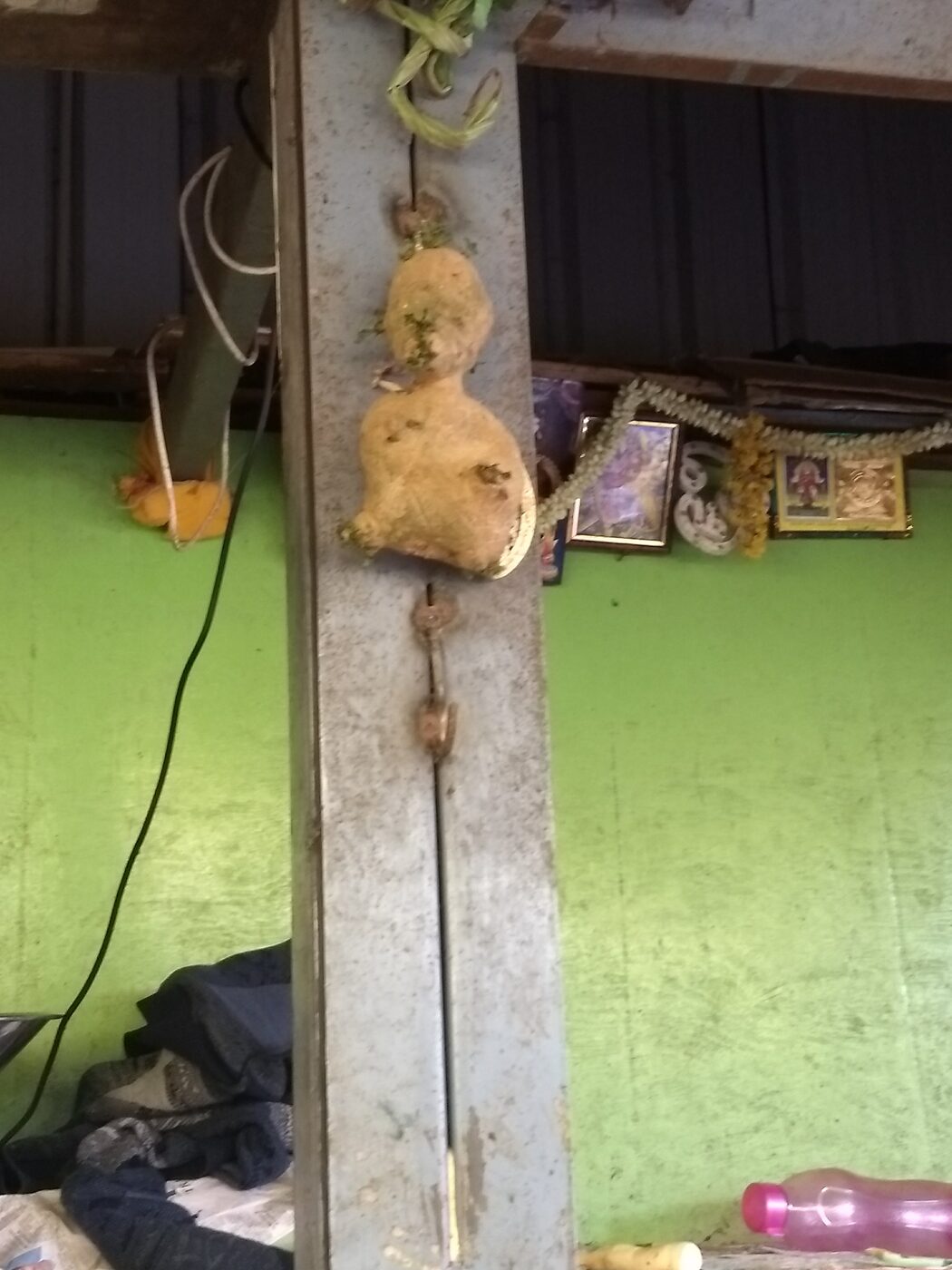 A vegetable seller's oddly-shaped potato