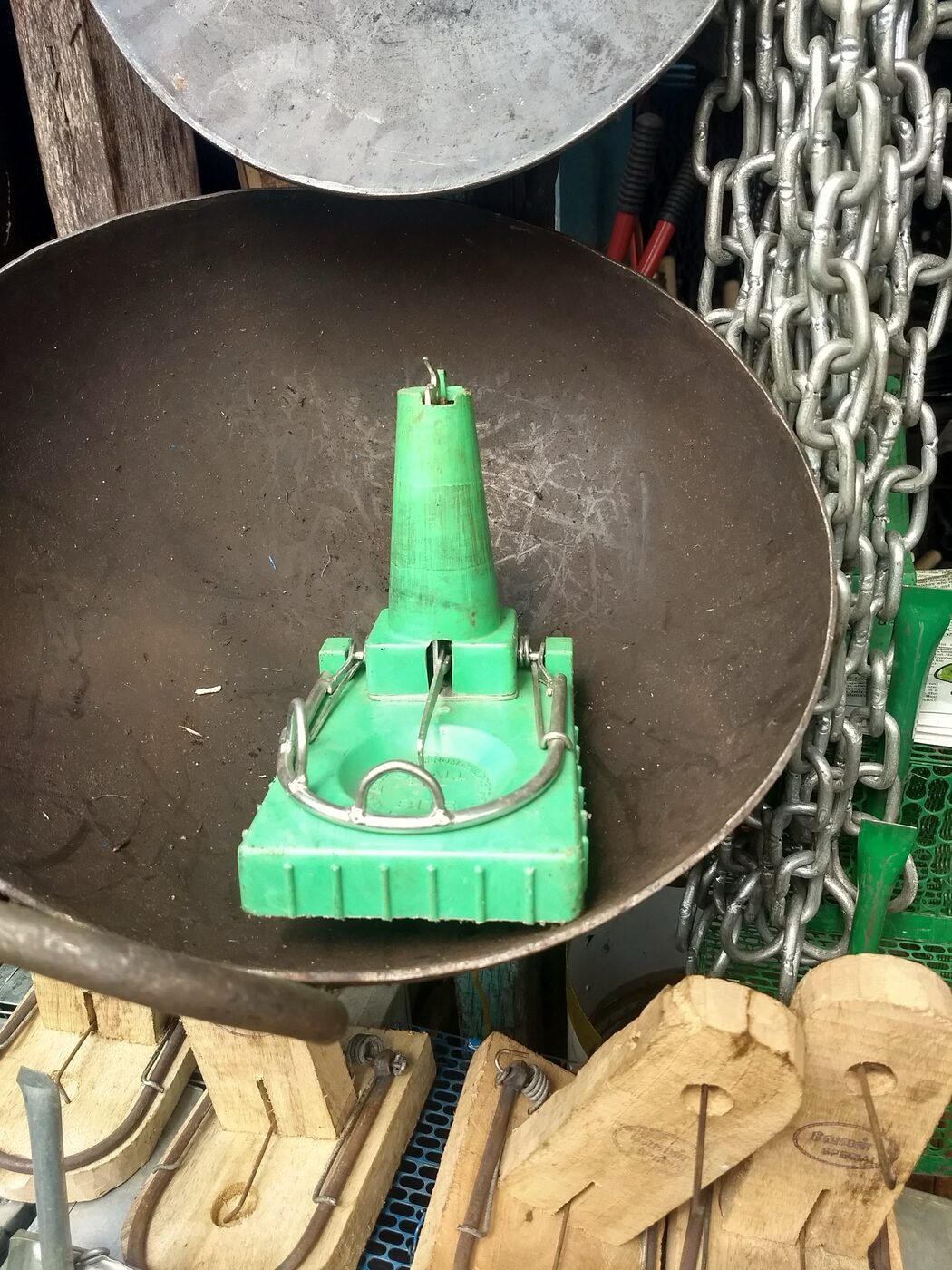 A rat trap on display