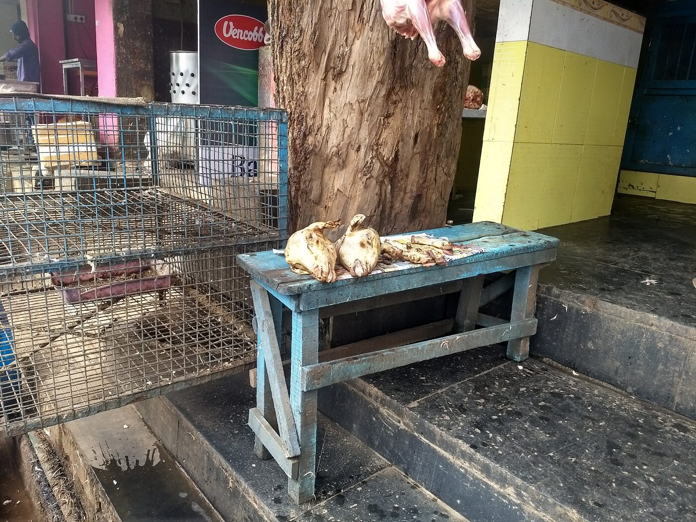 A small poultry and rabbit stall